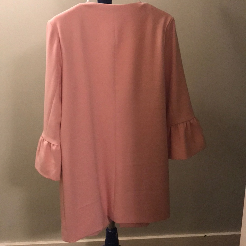 Pink Blazer - Picture 2 of 3